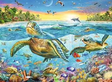Swim with Sea Turtles
