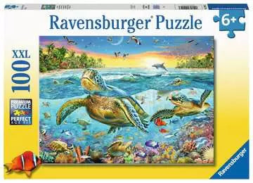 Swim with Sea Turtles