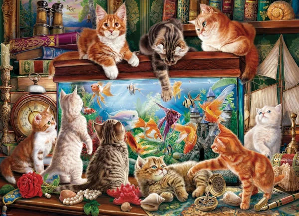 Cats by the Aquarium