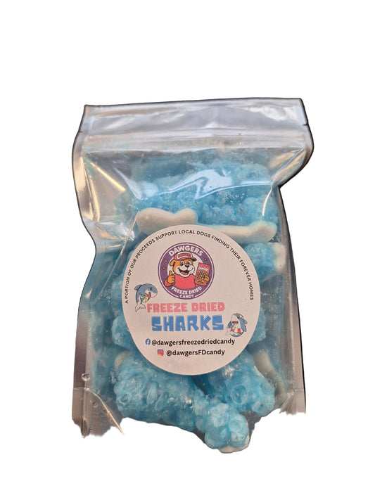 Dawgers Freeze Dried Sharks