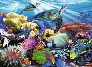 Ocean Turtles