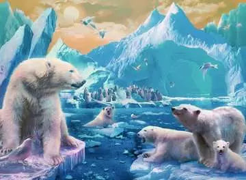 Polar Bear Kingdom