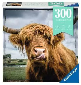 Puzzle Moment: Highland Cattle