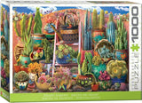 Desert Garden
