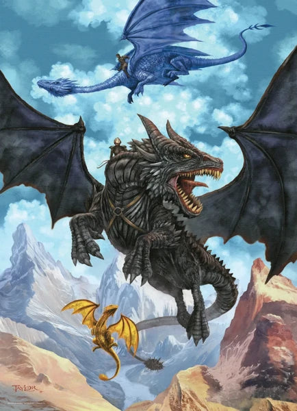 Fourth Wing - Dragon Rider
