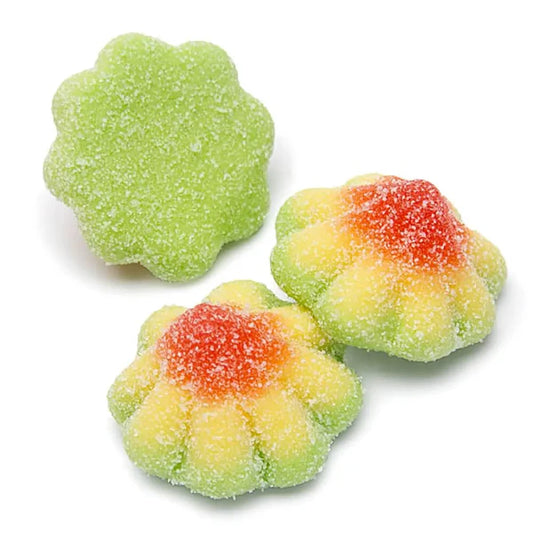 Sour Cone Flowers
