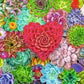 Ravensburger Succulent Love 500 Pieces