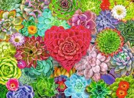 Ravensburger Succulent Love 500 Pieces