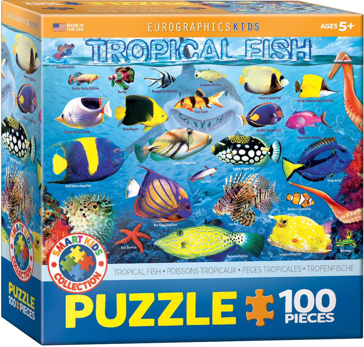 Tropical Fish - Sweet Escapes